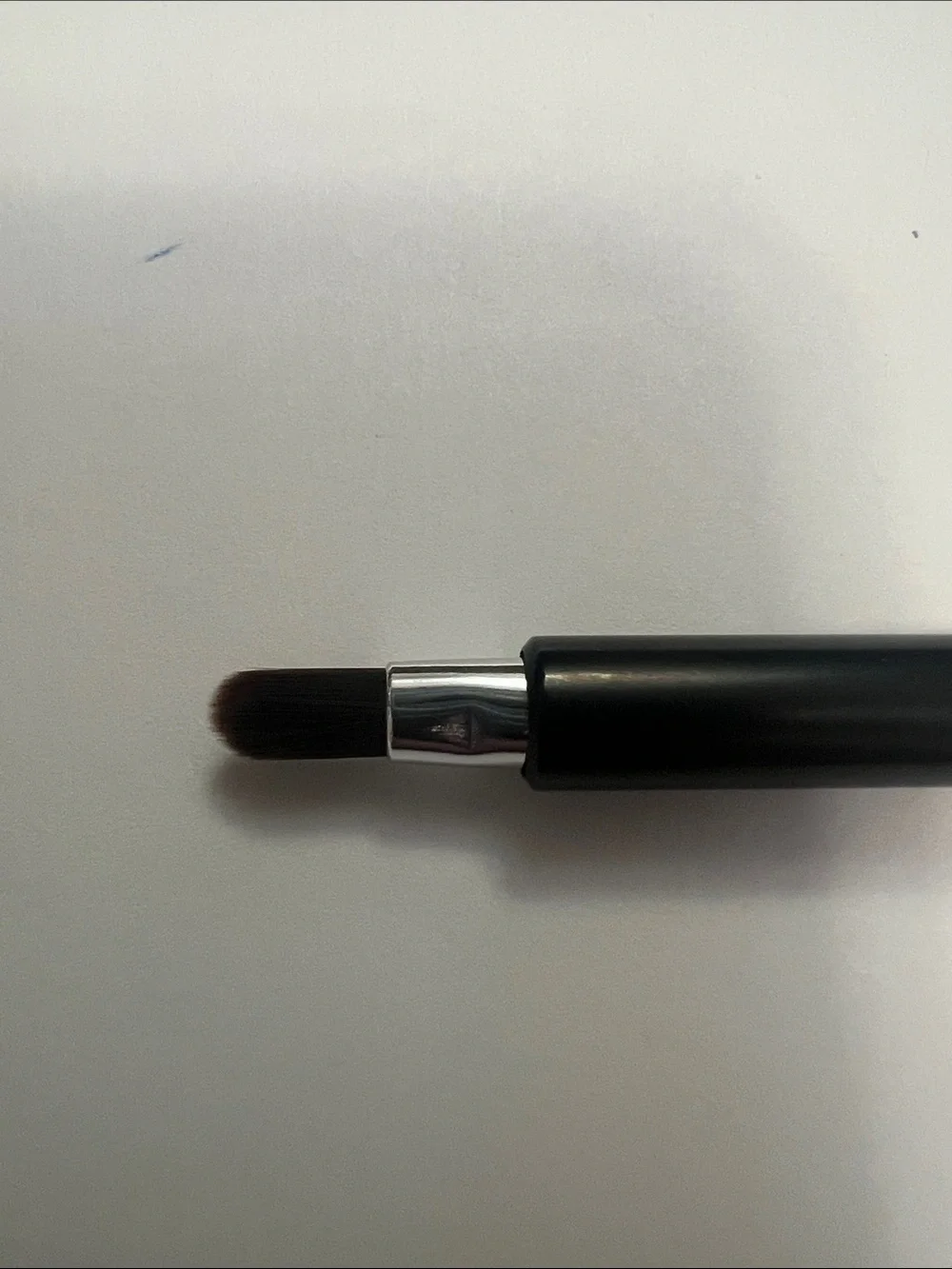 Younique Retractable Lip Brush in Black